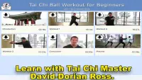 Tai Chi Ball Beginner Screen Shot 5