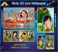 Birds 3D Live Wallpaper Screen Shot 7