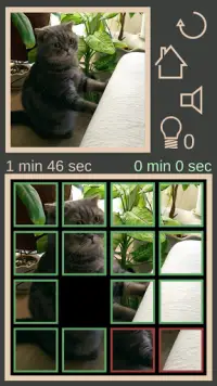 Collect The Cat Screen Shot 10