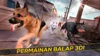 Anjing Balap Hewan Peliharaan Screen Shot 8