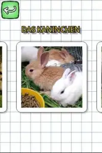 Animales en alemán Screen Shot 1