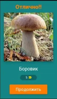 Угадай Гриб Screen Shot 1