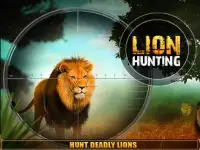 Wild Lion Sniper Shooter Screen Shot 5