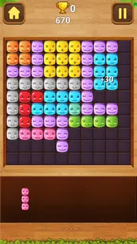 Block Puzzle Crush Screen Shot 1