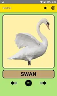 Animals and Birds For Kids : Educational Game Screen Shot 5