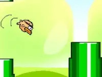 Flapper Bird Screen Shot 0