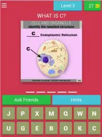 Anatomy Online Quiz: Cell and Organelles Screen Shot 15