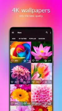 Flower Wallpapers 4K Screen Shot 1