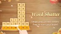 Word Shatter: Word Block Screen Shot 6