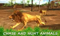 Wild Lion Simulator Screen Shot 2