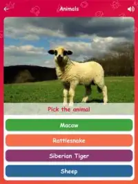 Mawe - Learning games for kids Screen Shot 11