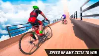 BMX Cycle Stunt Game Screen Shot 1