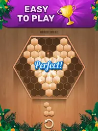 Wooden 100 Block Puzzle - Classic Wood Brain Game Screen Shot 7