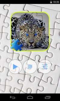 Leopard Jigsaw Puzzle Screen Shot 0