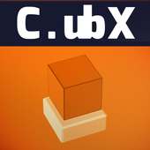 C.ubX Lite
