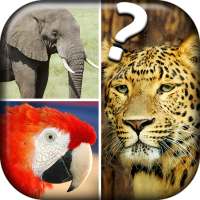 Quiz Me - What Animal Am I?
