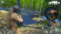 Wild Safari Hunting - Animal Sniper Shooting Games Screen Shot 1