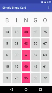 Simple Bingo Card Screen Shot 1