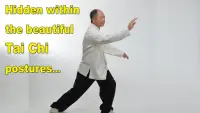 Tai Chi Martial Applications Screen Shot 1