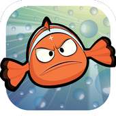 Fish Run