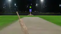 Demo for Baseball and Cricket Batting 3D SL and AI Screen Shot 5