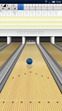 Easy Bowling Screen Shot 1