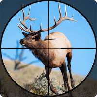 Stag Hunter 2019: Trò chơi bắn cung Bow Deer FPS