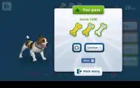 Dog Bite Prevention Strategy Screen Shot 11