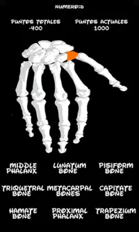 Huesos  del esqueleto ,adivina cual es Screen Shot 4