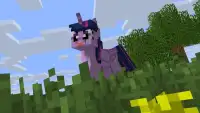 Pony MOD Screen Shot 2