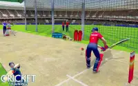टी -20 क्रिकेट प्रशिक्षण : जाल अभ्यास क्रिकेट खेल Screen Shot 4