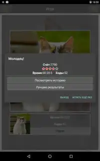 Пазлы коты,кошки (пятнашки) Screen Shot 12