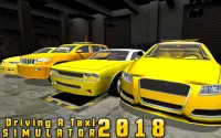 Driving a Taxi Simulator 2018 Screen Shot 5