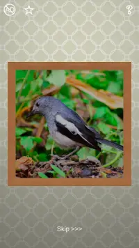 Birds Puzzles - 100 Pictures Screen Shot 7