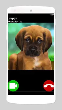 fake call video puppy game Screen Shot 0