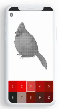 Birds Color By Number, pixel bird coloring Screen Shot 4