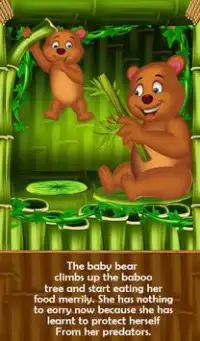 Baby Bear B'day Bedtime Story Screen Shot 1