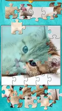 Jigsaw Puzzles Cats Screen Shot 2