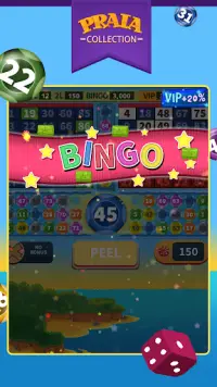 Vídeo Bingo Pipa Screen Shot 2