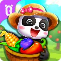Le jardin de rêve de Bébé Panda