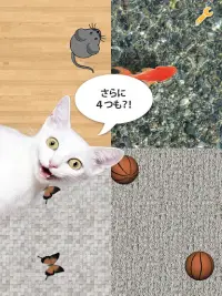 ねこじゃらしマニア Screen Shot 5