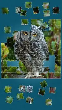 Animals Jigsaw Puzzle Screen Shot 7