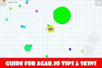 Guide for Agar.io Tips & Skins Screen Shot 1