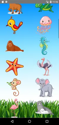Learn Animals  Name, Sounds, Pictures Screen Shot 1