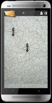 Crush ants Screen Shot 2