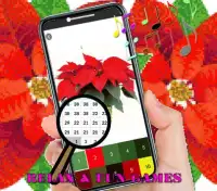 Pointsettia Flowers Color By Number-Pixel Art Screen Shot 4