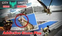 City Sniper Birds Hunting Screen Shot 2