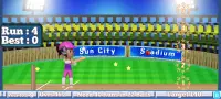 Rudra Cricket Game Screen Shot 9