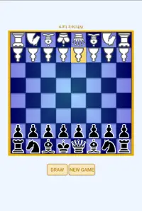 Beginners Chess Screen Shot 2