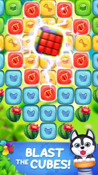 Cube Blast : Dog Rescue - Puzzle Match 3 Game Screen Shot 1